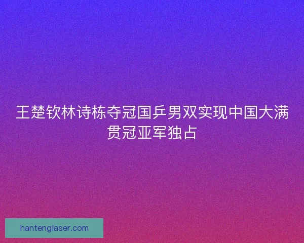 王楚钦林诗栋夺冠国乒男双实现中国大满贯冠亚军独占